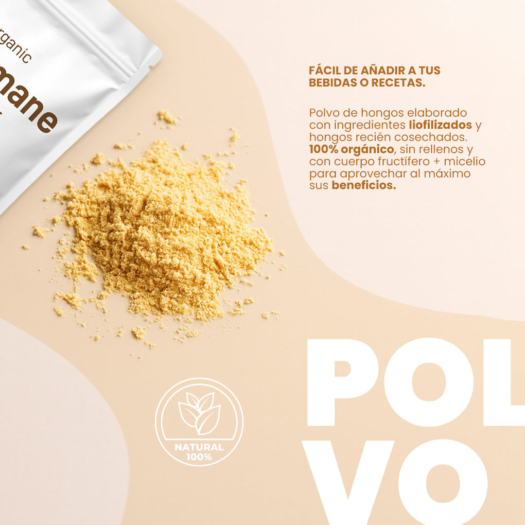 Lion’s Mane Orgánico en Polvo – Enfoque Mental, Memoria y Defensa Natural