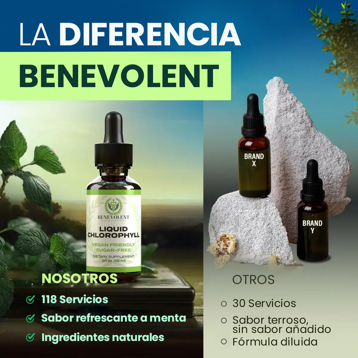 Clorofila líquida Kindness – Apoya tu detox, mejora tu digestión y revitaliza tu cuerpo