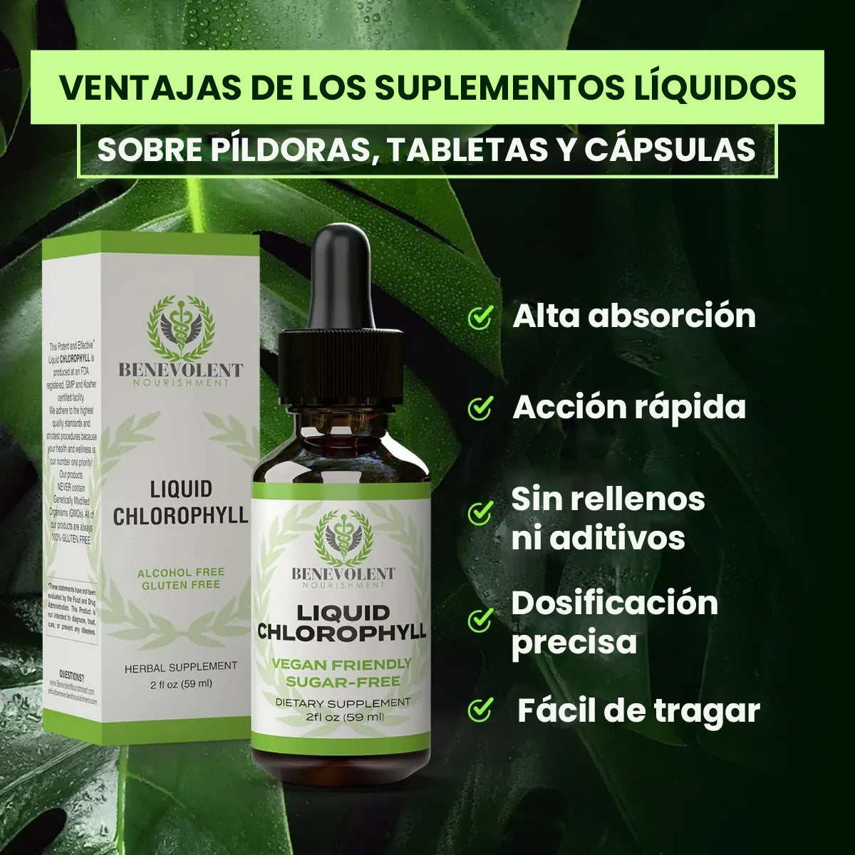 Clorofila líquida Kindness – Apoya tu detox, mejora tu digestión y revitaliza tu cuerpo